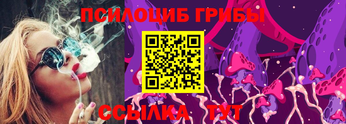 Псилоцибиновые грибы Psilocybine cubensis Омск