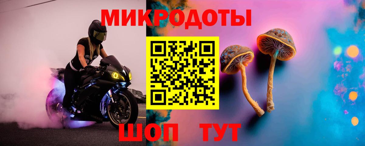 Галлюциногенные грибы Psilocybe  Вход с VPN  где купить   Галлюциногенные грибы MAGIC MUSHROOMS  Омск 